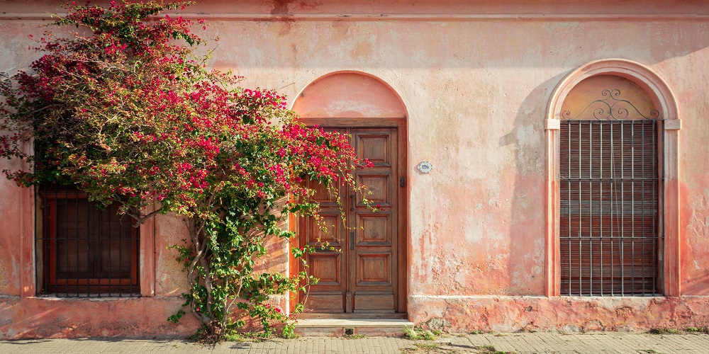 cedar doors